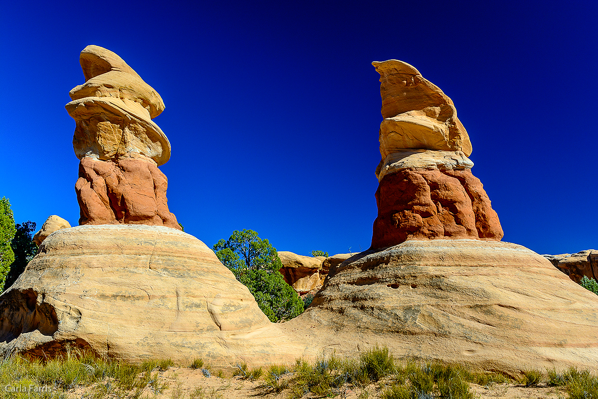 Devil's Garden - Grand Staircase Escalante National Monument