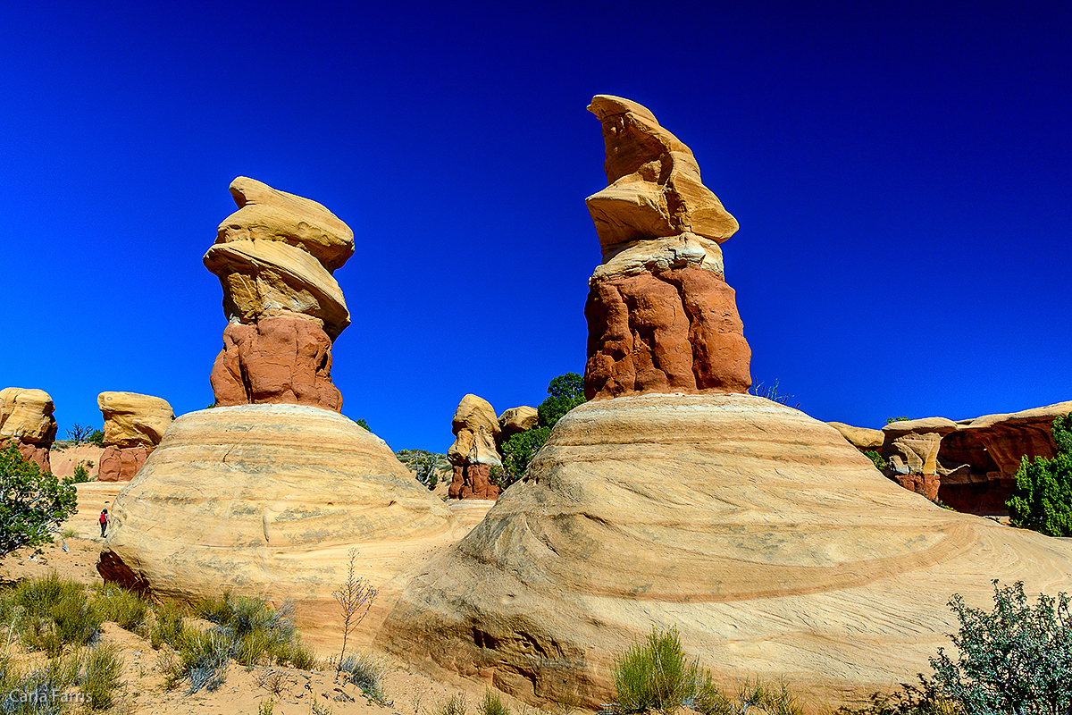 Devil's Garden - Grand Staircase Escalante National Monument