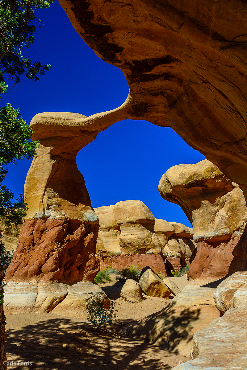 Devil's Garden - Metate Arch