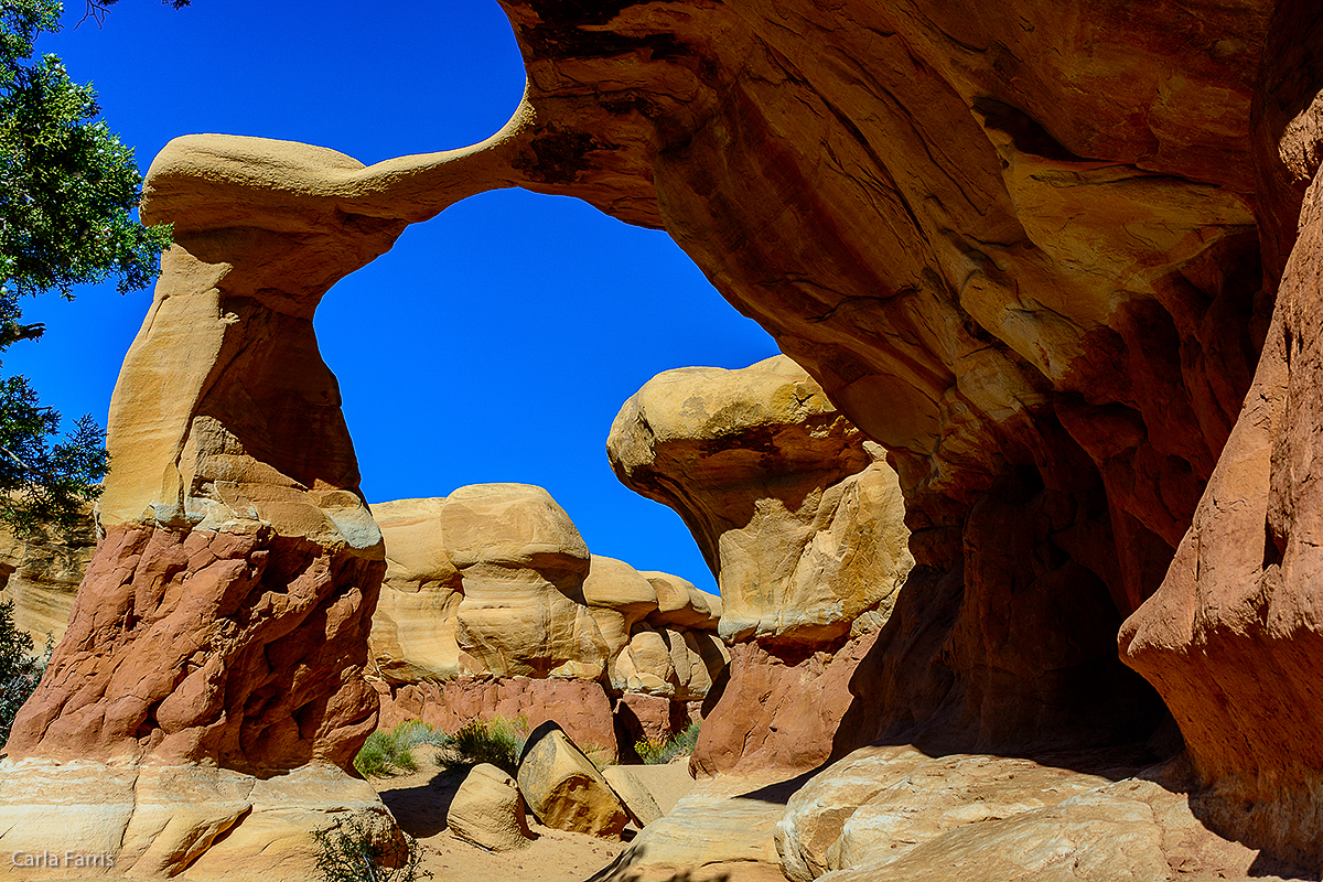 Devil's Garden - Metate Arch