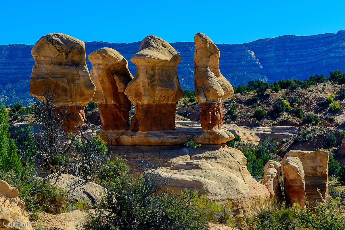 Devil's Garden - Grand Staircase Escalante National Monument