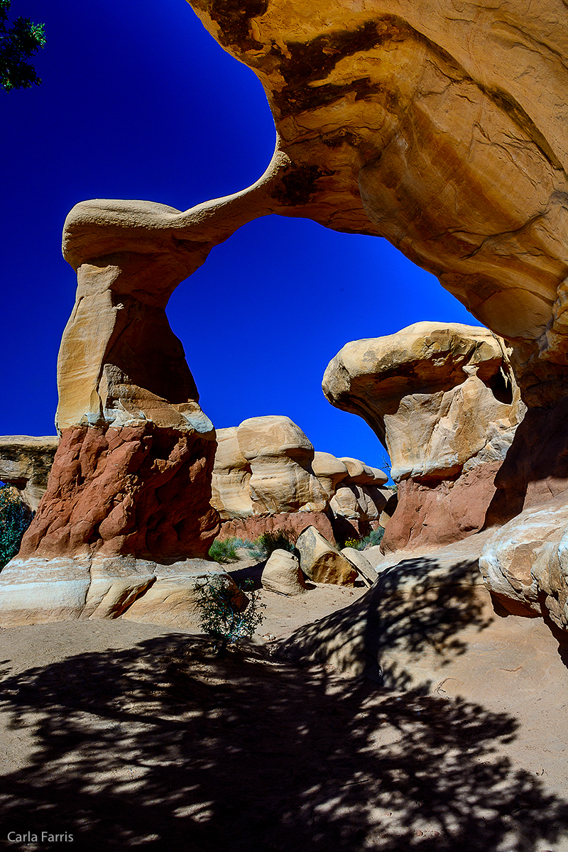 Devil's Garden - Metate Arch