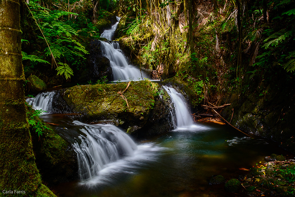 Hawaii Tropical Botanical Garden Waterfall