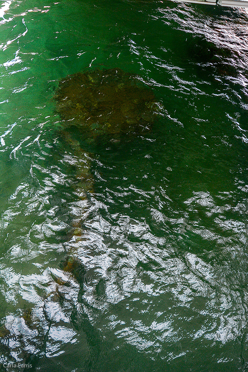 USS Arizona Memorial