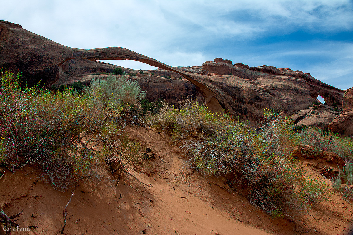 Landscape Arch - Devil's Garden Trail