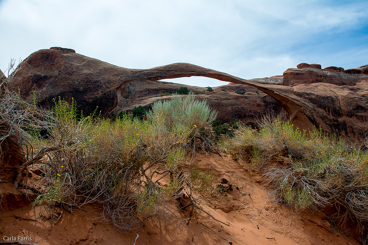 Landscape Arch - Devil's Garden Trail