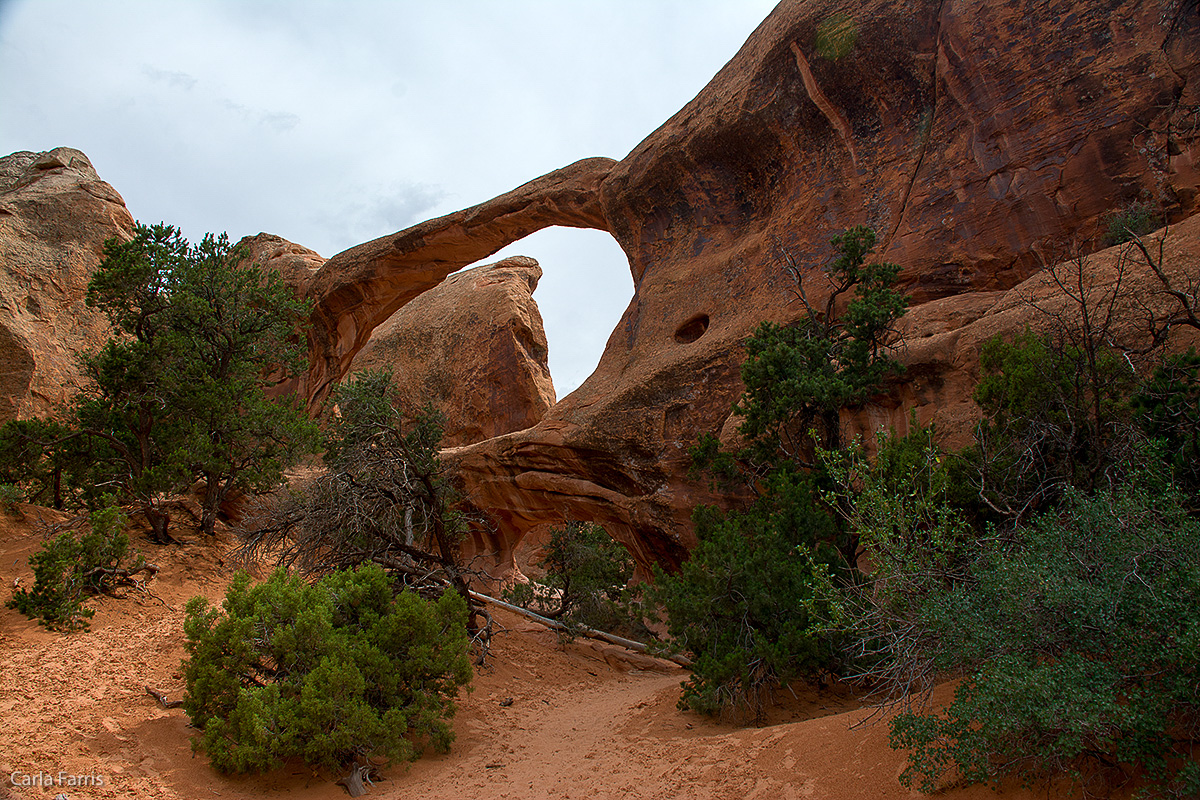 Double O Arch 