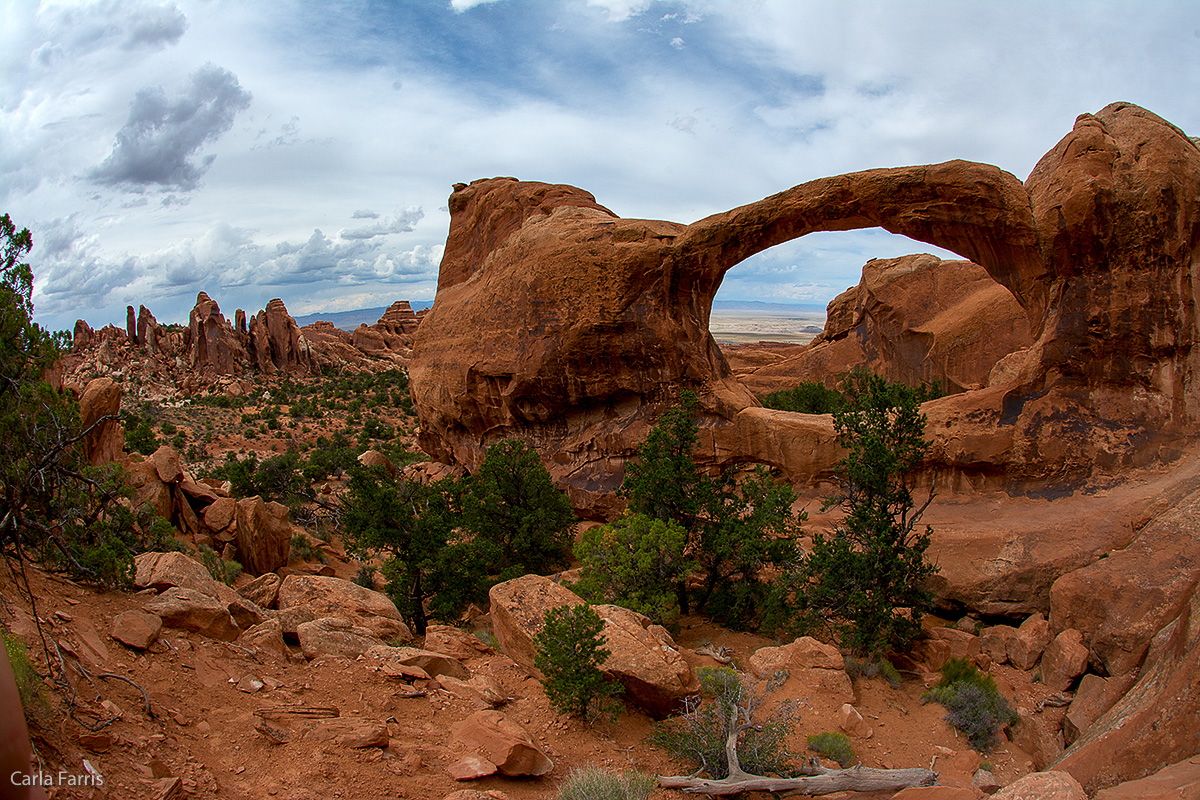 Double O Arch 