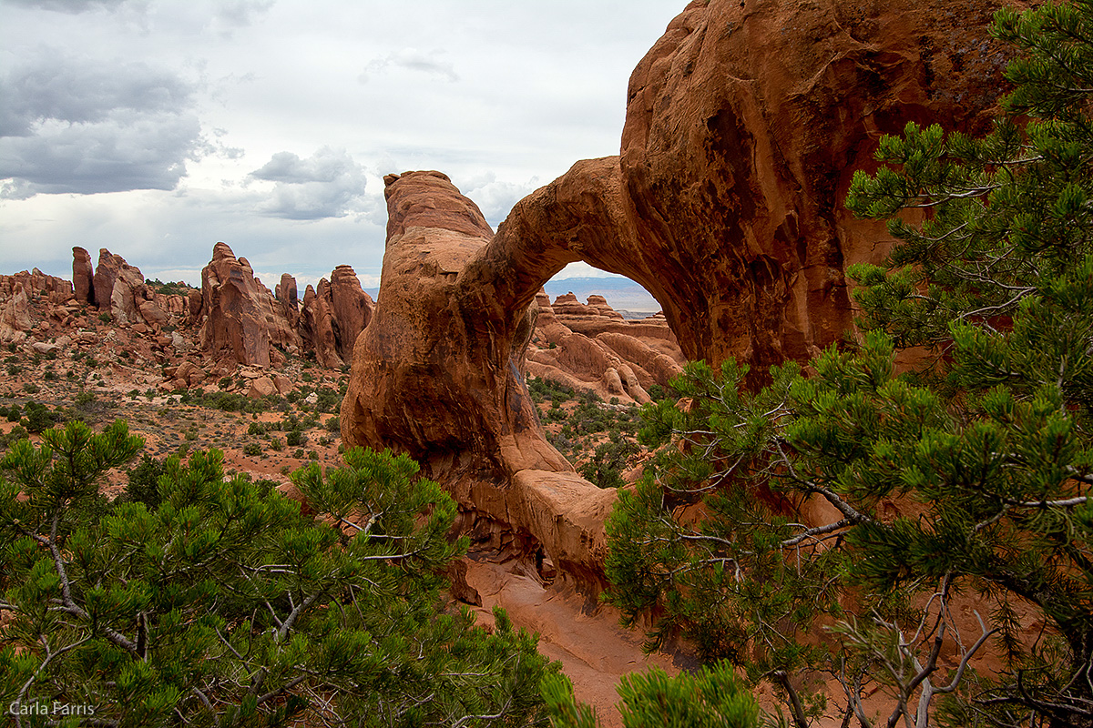 Double O Arch 