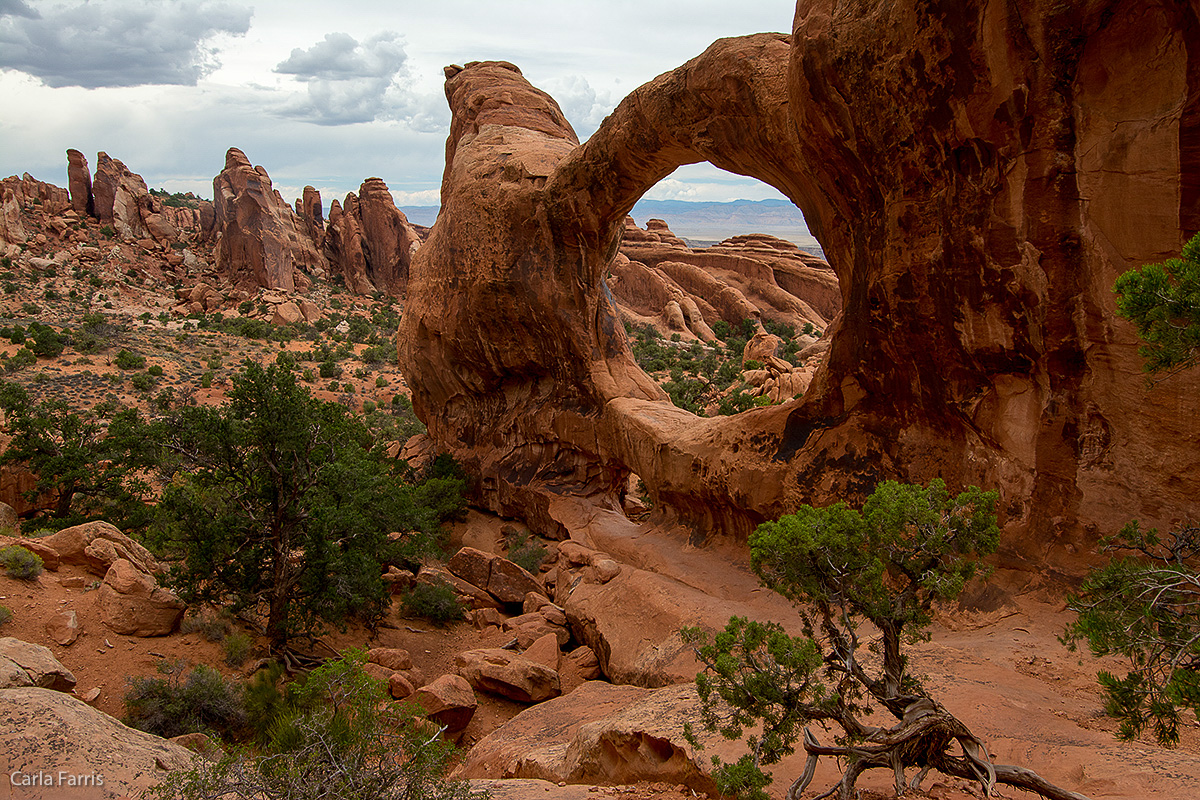 Double O Arch 