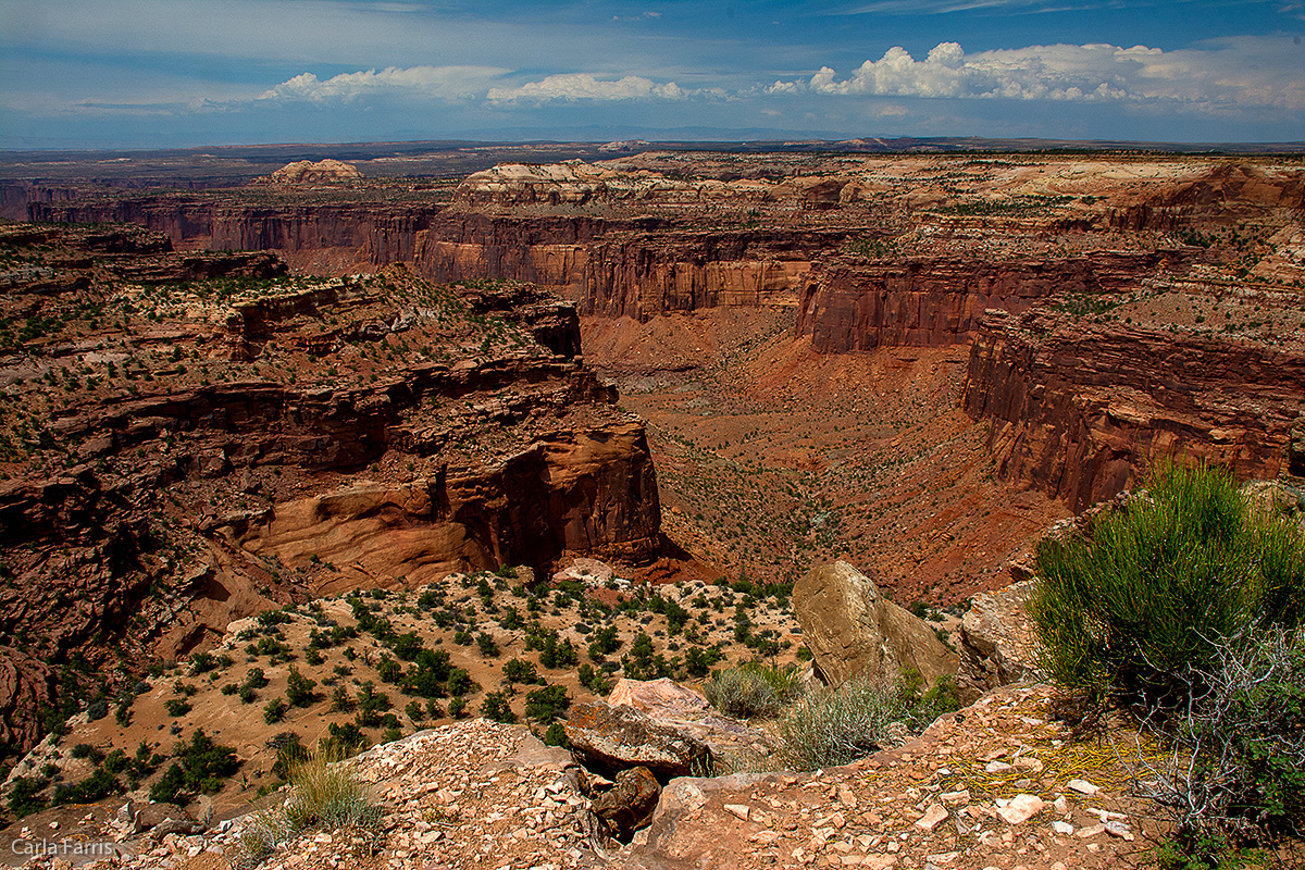 View from Aztec Butte